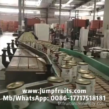 Tin Can Capping ve Sızdırmazlık Makinesi